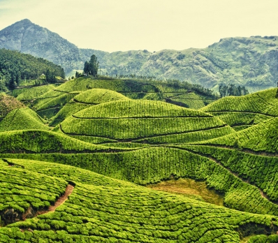 KERALA FOR 06 NIGHT 07 DAYS KERALA FOR 06 NIGHT 07 DAYS
